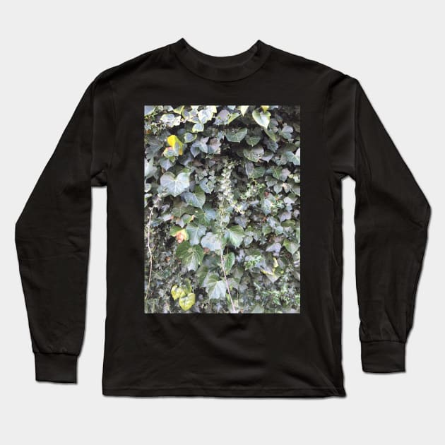 Ivy Long Sleeve T-Shirt by Dpe1974